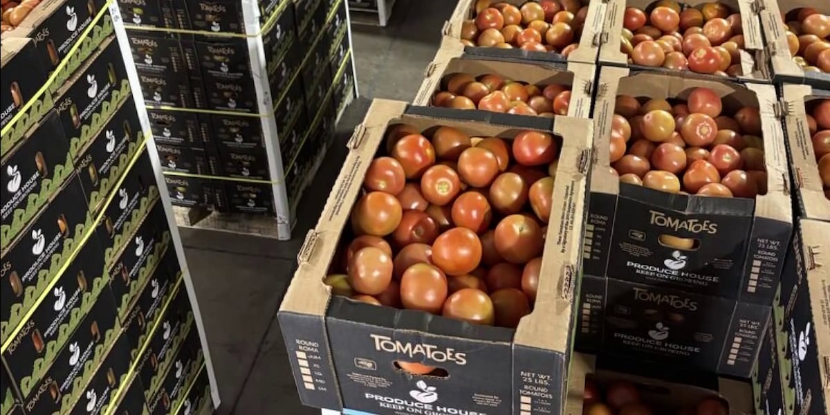 US-Mexico Tomato Tariff Spurs Trade Dispute, Raises Industry Concerns