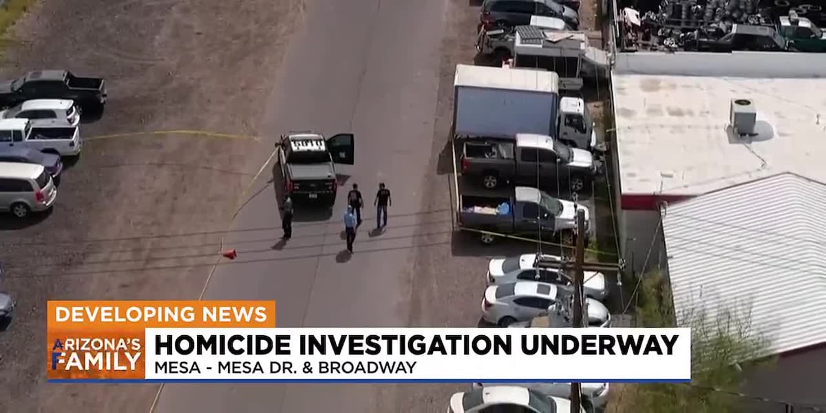 Mesa Police Identify Victim in Alley Homicide