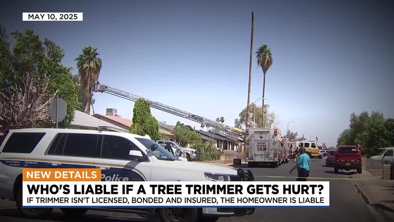 Homeowners should make sure they are hiring licensed, bonded, and insured tree trimmers to...