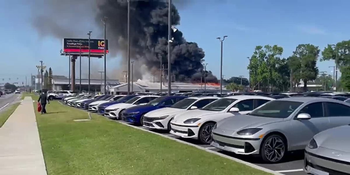 Multiple Car Dealership Fires Cause Major Damage, Injuries in Georgia, South Carolina