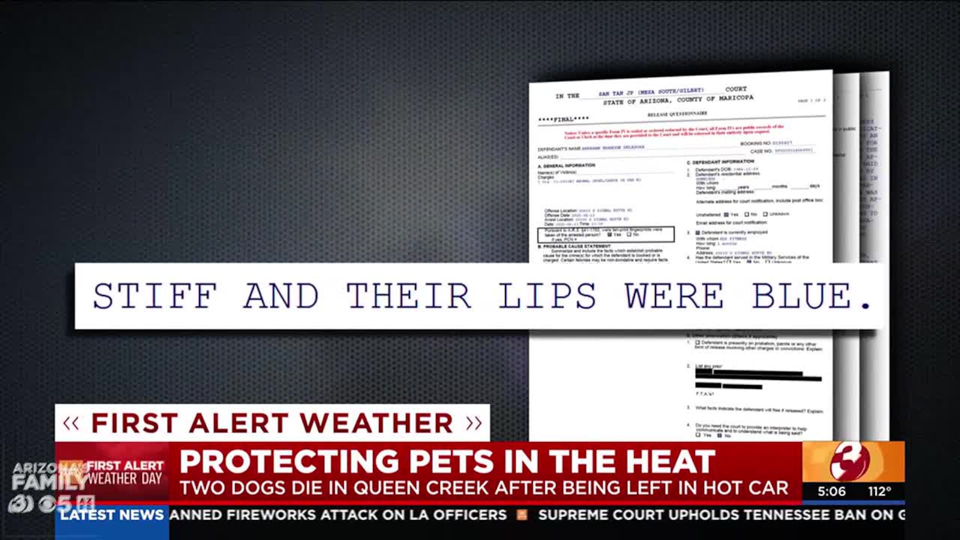 Man Leaves Dogs Trapped in Scorching Car Outside Queen Creek Gym for Six Hours Sparks Outrage