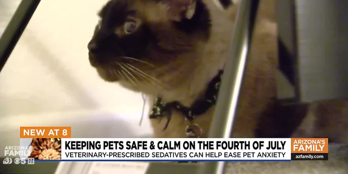 Arizona vet gives tip on how to keep pets calm, safe during fireworks