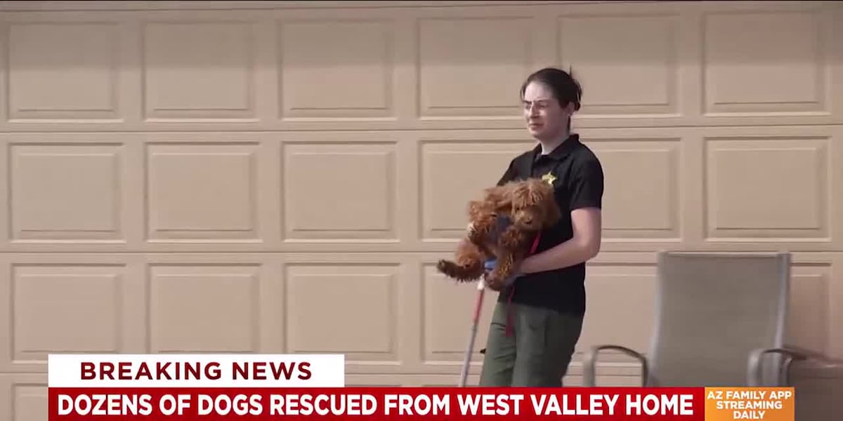 Maricopa County Sheriff's Office Rescues Over 70 Dogs From Suspected Puppy Mill in Litchfield Park
