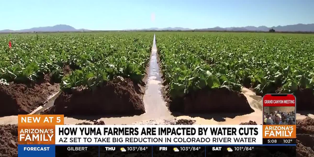 Water cuts impacting Arizona farmers