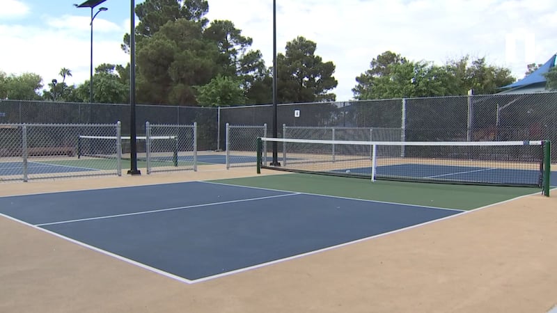 City Park projects spark grass removal debate