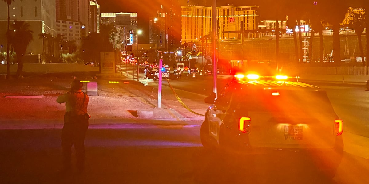 Coverage image for: LVMPD: One man dead after shooting near Harmon, Koval