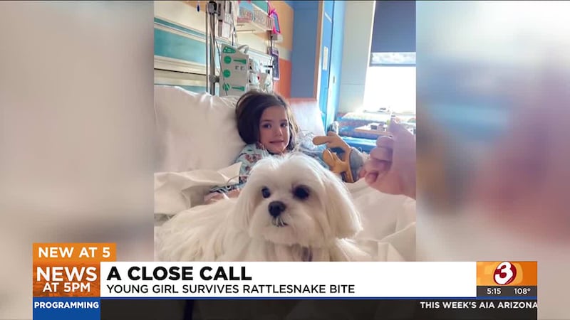 A rattlesnake bit a 7-year-old girl, but she didn't know it for hours, making it difficult to...