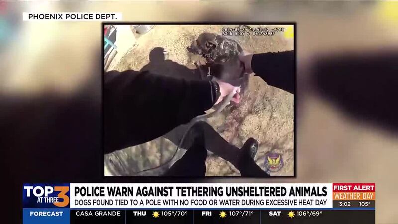After encountering two distressed dogs tied to poles outside in the heat, police warn the...