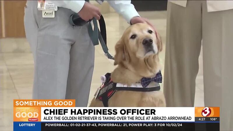 Alex, a golden retriever, was named chief happiness officer at Abrazo Arrowhead Campus in...