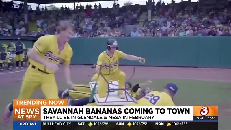 The team will be opening its 2025 world tour as the Bananas face off (or dance off) against...