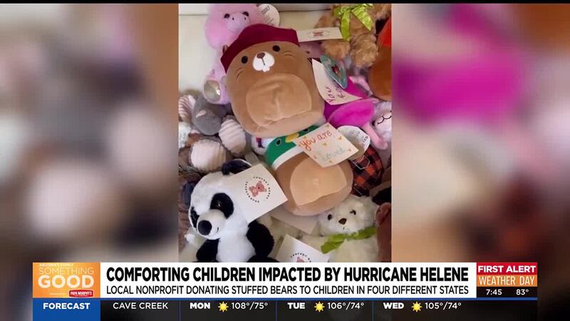 Comfort Bears in Catastrophe sends stuffed animals and teddy bears to children impacted by...
