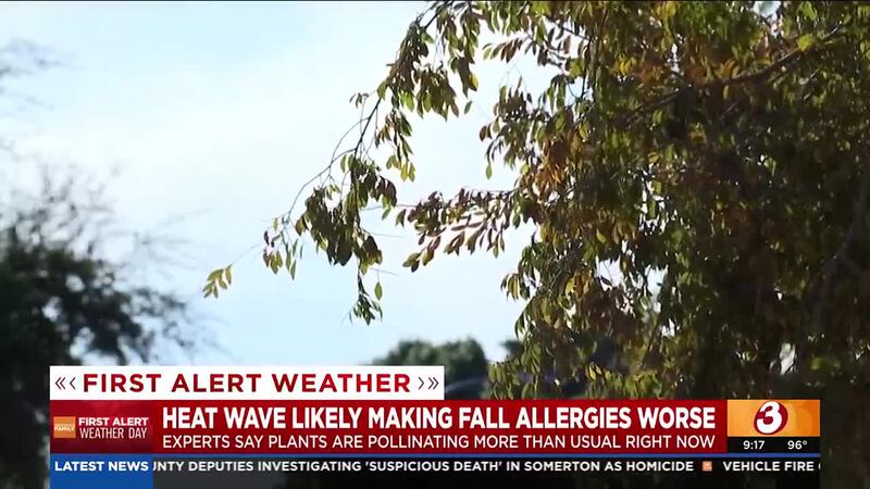 Valley allergists suggest the lingering summer heat could be creating a melting pot for...