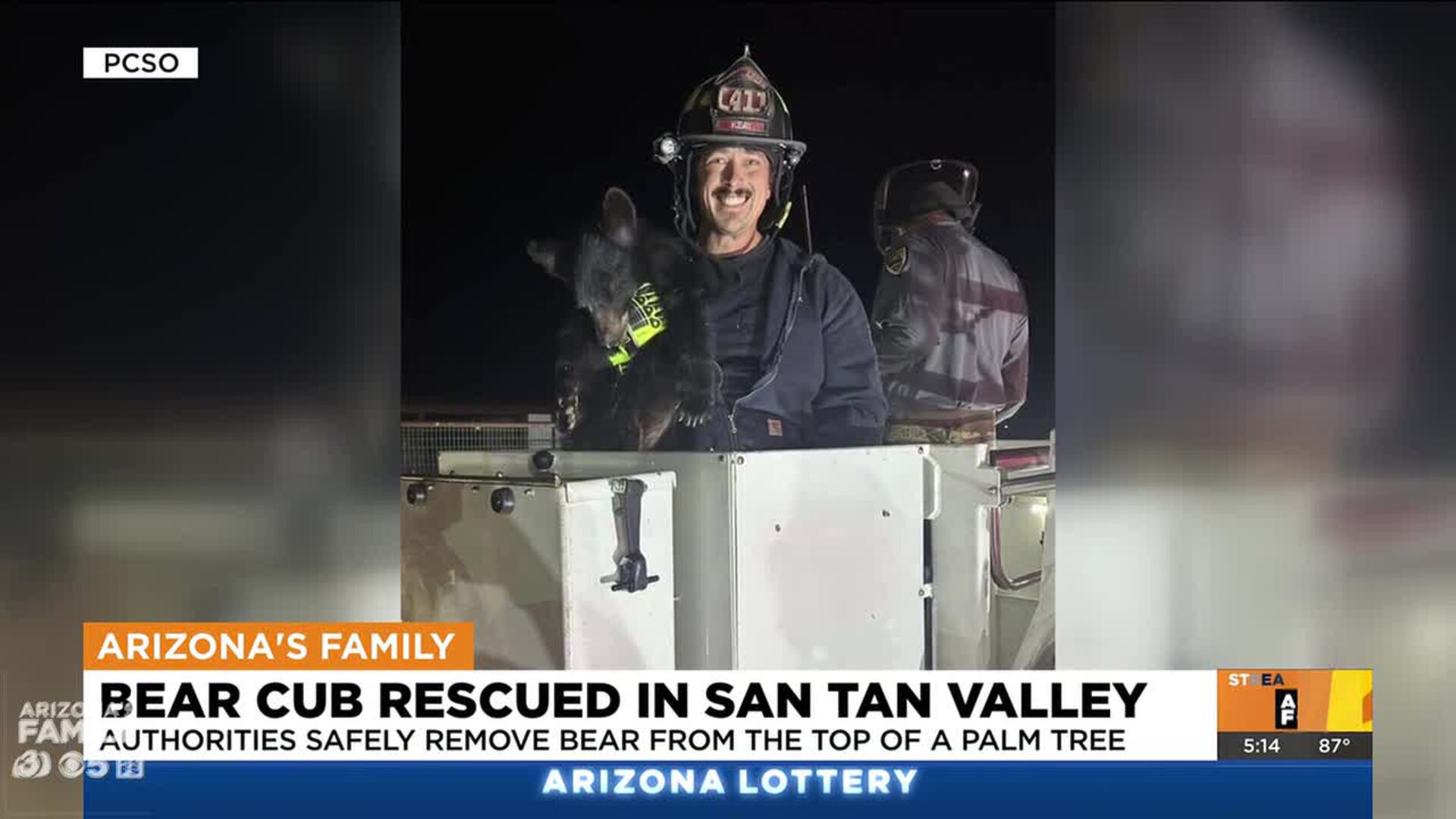 San Tan Valley Bear Cub Rescue Ignites Community Spirit