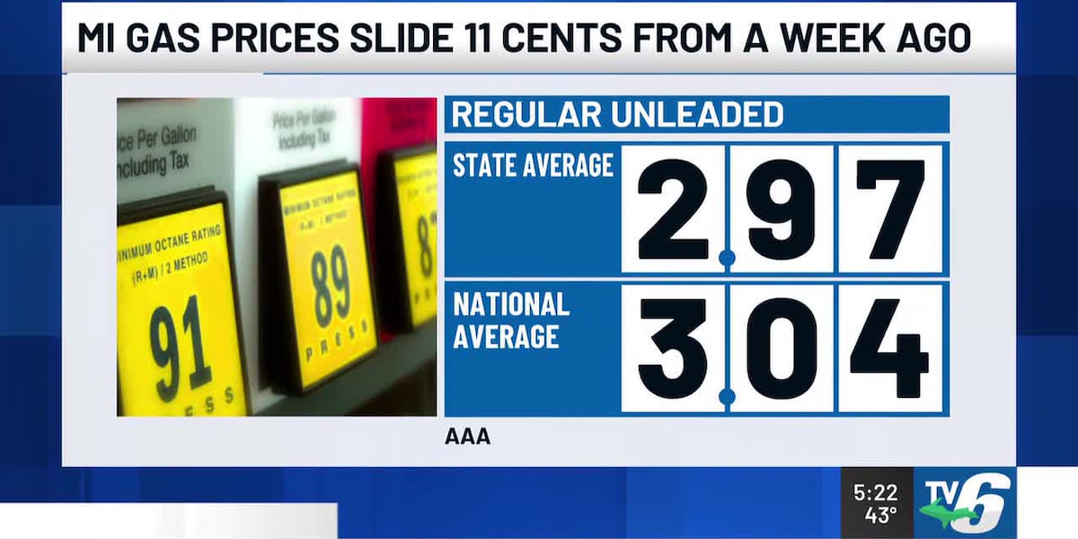 Michigan Gas Prices Fall Below $3 Amid Refinery Issues and Decreased Demand