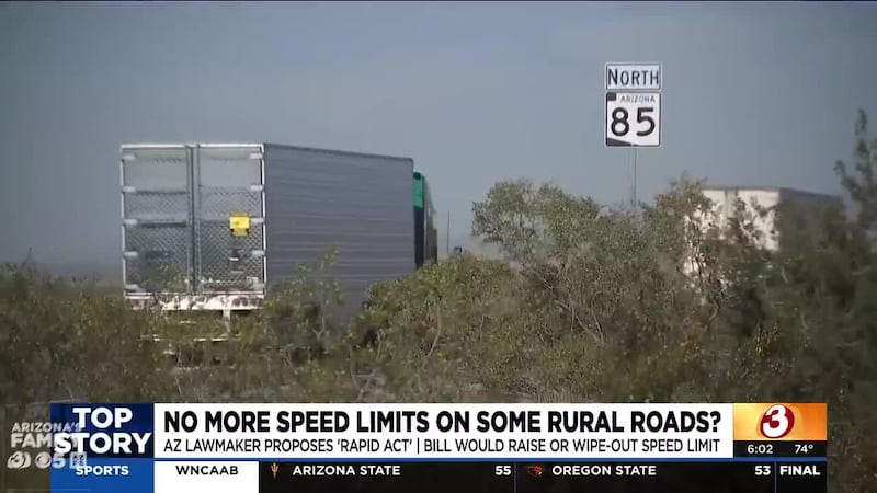 Over 200 shoppers wait for Black Friday deals at Target in Tempe